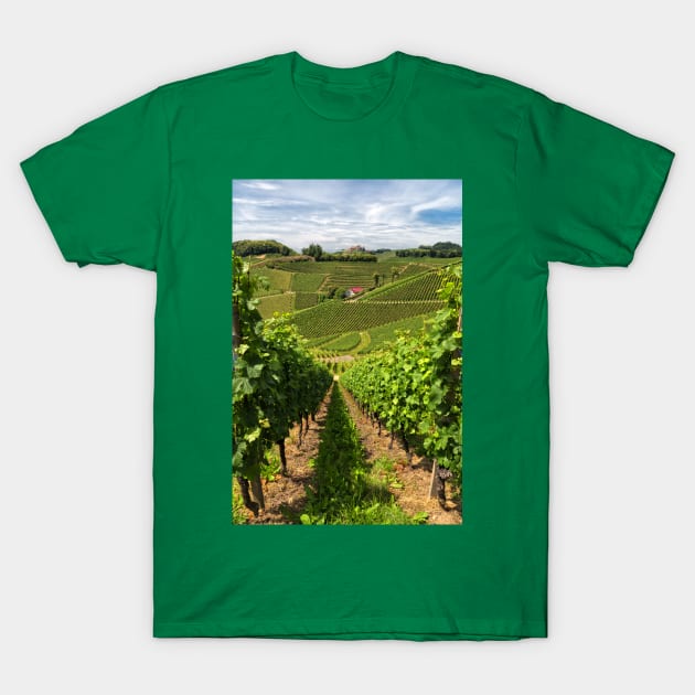 The Vineyard T-Shirt by yairkarelic